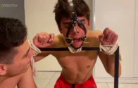 0480-SHX-Sexy-Twink-Dental-Gag