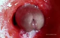 0814-Fleshlight-Inside-POV-Close-Up-Cock-Cum-9q9pp